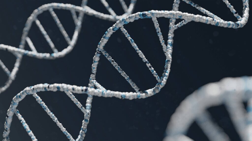 Eine grafische 3D-Darstellung einer DNA-Doppelhelix. Genetische Mutationen und erbliche Veranlagungen stellen einen bedeutenden Risikofaktor für bestimmte Krebserkrankungen dar.